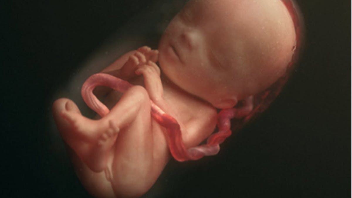 Semaine 21 De Grossesse 23 Sa De Grossesse 21eme Semaine Parents Fr Semaine 21 De Grossesse 23 Sa De Grossesse 21eme Semaine Parents Fr