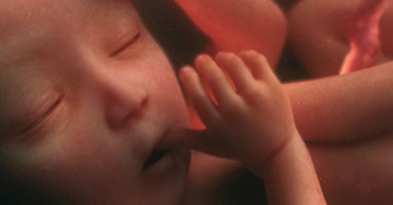 22eme Semaine De Grossesse 22 Semaines De Grossesse 24 Sa Parents Fr 22eme Semaine De Grossesse 22 Semaines De Grossesse 24 Sa Parents Fr