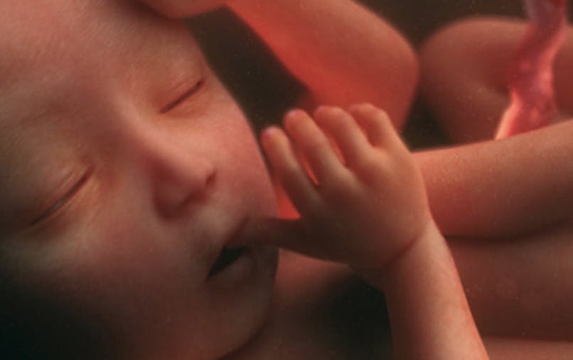 22eme Semaine De Grossesse 22 Semaines De Grossesse 24 Sa Parents Fr 22eme Semaine De Grossesse 22 Semaines De Grossesse 24 Sa Parents Fr