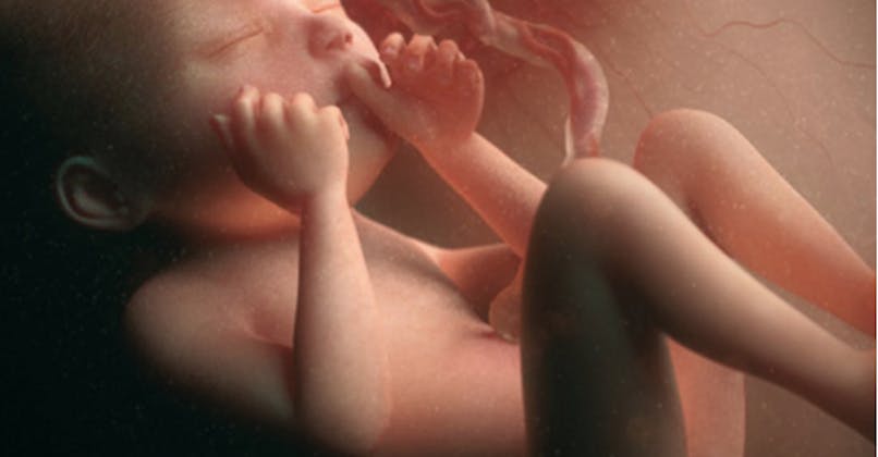 Semaine 23 De Grossesse 23 Semaines De Grossesse 25 Sa Parents Fr Semaine 23 De Grossesse 23 Semaines De Grossesse 25 Sa Parents Fr