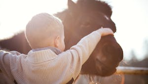 Equitation : des bébés cavaliers dès 11 mois !