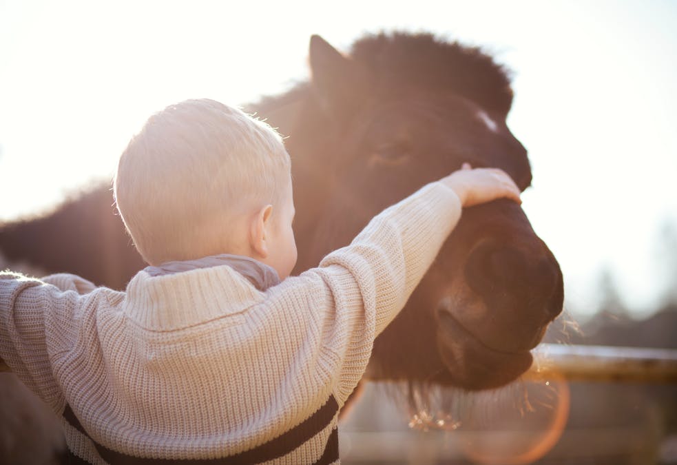 Equitation Pour Enfant Des Bebes Cavaliers Des Le Plus Jeune Age Parents Fr
