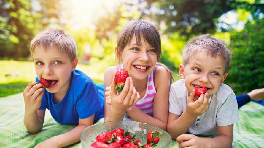 trois enfants mangent des fraises pendant un pique-nique