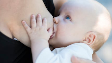 Allaitement : une élue fait le buzz en donnant le sein à son bébé en plein Parlement 