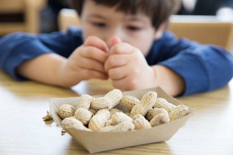 petit garçon mangeant des cacahuètes