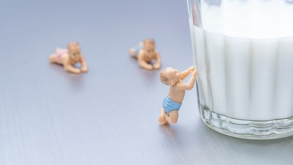 Quand introduire le lait de vache à bébé ?
