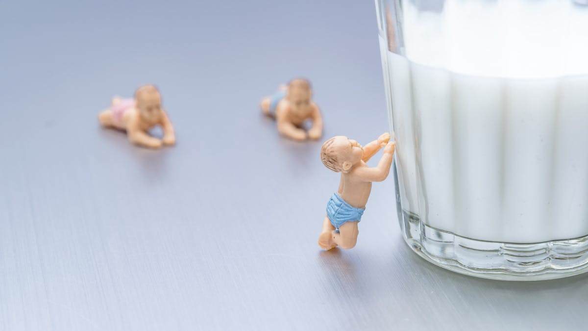 Lait De Vache Pour Bebe Quand L Introduire Dans L Alimentation De Bebe Parents Fr Lait De Vache Pour Bebe Quand L Introduire Dans L Alimentation De Bebe Parents Fr
