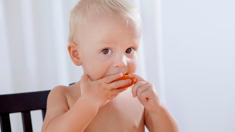 Diversification Alimentaire Les Etapes Cles Parents Fr Diversification Alimentaire Les Etapes Cles Parents Fr