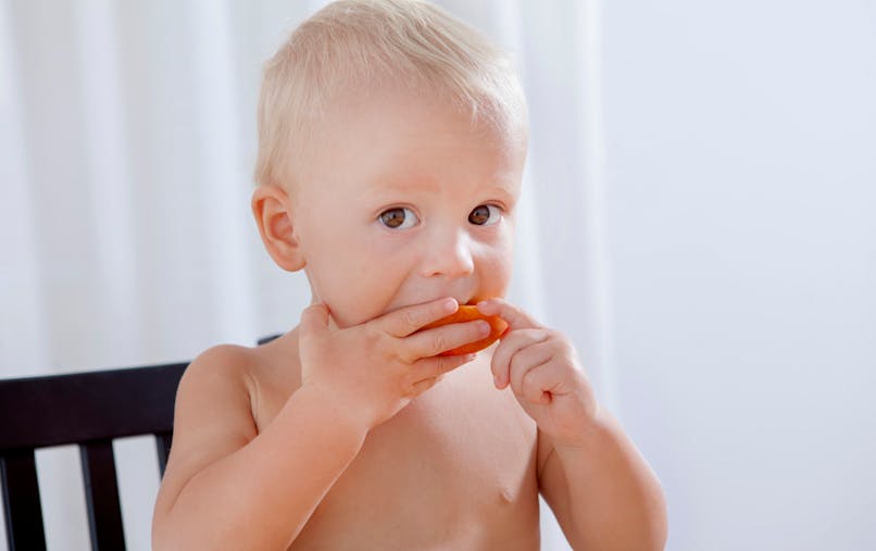 Diversification Alimentaire Les Etapes Cles Parents Fr Diversification Alimentaire Les Etapes Cles Parents Fr