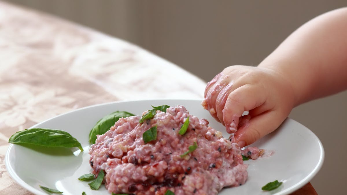 Alimentation Faut Il Laisser Bebe Manger Avec Les Doigts Parents Fr Alimentation Faut Il Laisser Bebe Manger Avec Les Doigts Parents Fr