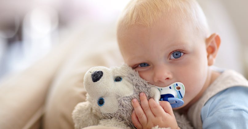 Lave Linge A Sec Comment Laver Doudous Jouets Et Peluches De Bebe Parents Fr Lave Linge A Sec Comment Laver Doudous Jouets Et Peluches De Bebe Parents Fr