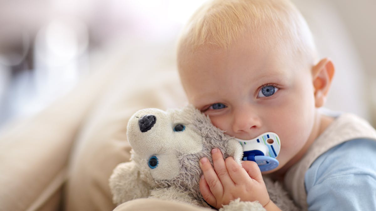 Comment Laver Doudous Jouets Et Peluches De Bebe Parents Fr Comment Laver Doudous Jouets Et Peluches De Bebe Parents Fr