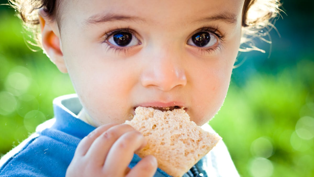 bébé mange du pain