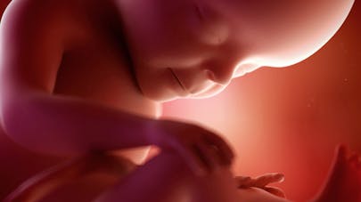 Semaine 27 De Grossesse 27 Semaines De Grossesse 29 Sa Parents Fr Semaine 27 De Grossesse 27 Semaines De Grossesse 29 Sa Parents Fr