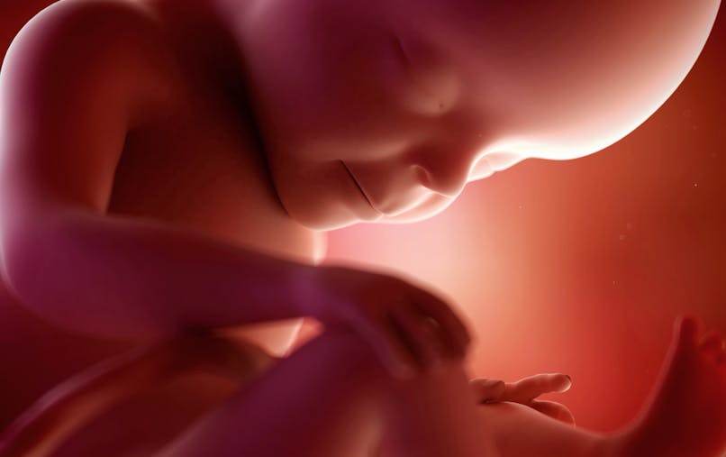 Semaine 27 De Grossesse 27 Semaines De Grossesse 29 Sa Parents Fr Semaine 27 De Grossesse 27 Semaines De Grossesse 29 Sa Parents Fr
