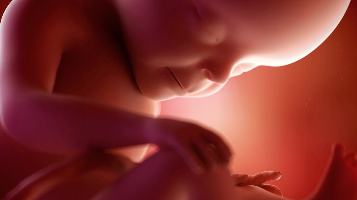 Semaine 27 De Grossesse 27 Semaines De Grossesse 29 Sa Parents Fr Semaine 27 De Grossesse 27 Semaines De Grossesse 29 Sa Parents Fr