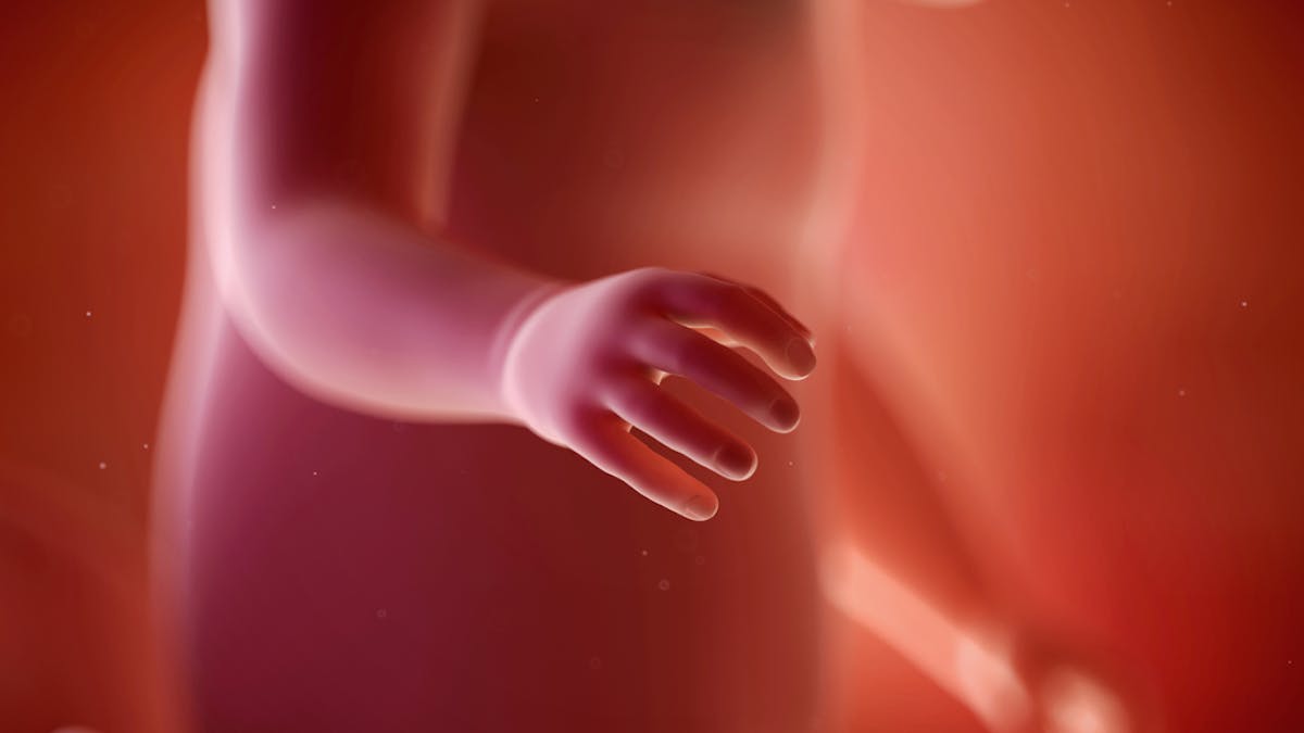 30 Semaine De Grossesse 32 Sa Parents Fr 30 Semaine De Grossesse 32 Sa Parents Fr