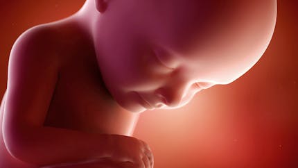 Suivi De Grossesse Le Suivi De Grossesse De La Femme Enceinte Page 8 Parents Fr Suivi De Grossesse Le Suivi De Grossesse De La Femme Enceinte Page 8 Parents Fr