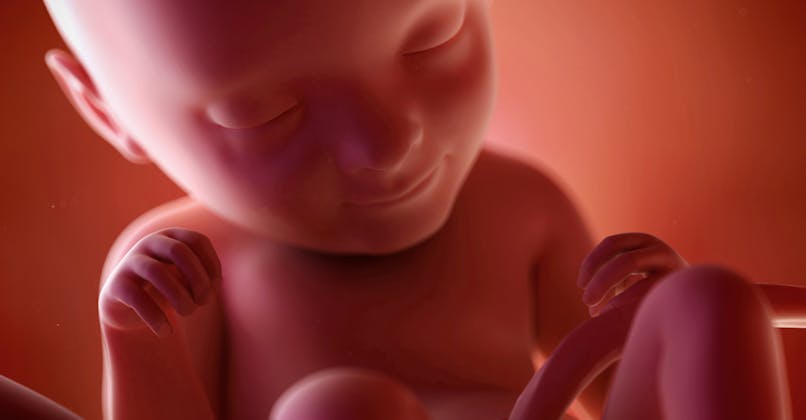 Semaine 33 De Grossesse 35 Sa Parents Fr Semaine 33 De Grossesse 35 Sa Parents Fr
