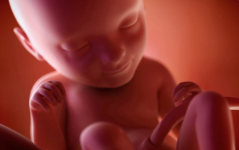 Semaine 33 De Grossesse 35 Sa Parents Fr Semaine 33 De Grossesse 35 Sa Parents Fr