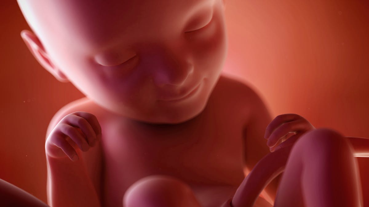 Semaine 33 De Grossesse 35 Sa Parents Fr Semaine 33 De Grossesse 35 Sa Parents Fr