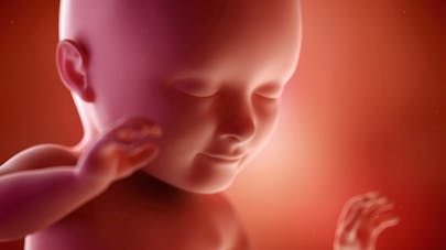 34 Semaines De Grossesse 34e Semaine De Grossesse 36 Sa