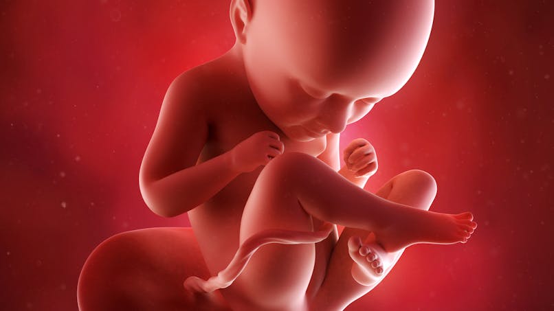 Semaine 35 De Grossesse 37 Semaine De Grossesse 37 Sa Parents Fr Semaine 35 De Grossesse 37 Semaine De Grossesse 37 Sa Parents Fr