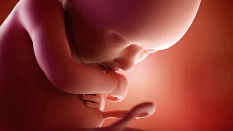 Semaine 36 De Grossesse 36 Semaines De Grossesse 38 Sa Parents Fr Semaine 36 De Grossesse 36 Semaines De Grossesse 38 Sa Parents Fr