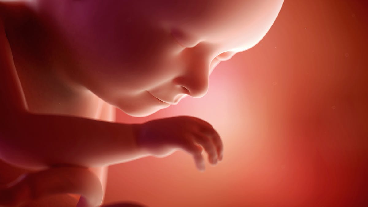 37e Semaine De Grossesse 39 Sa Parents Fr 37e Semaine De Grossesse 39 Sa Parents Fr