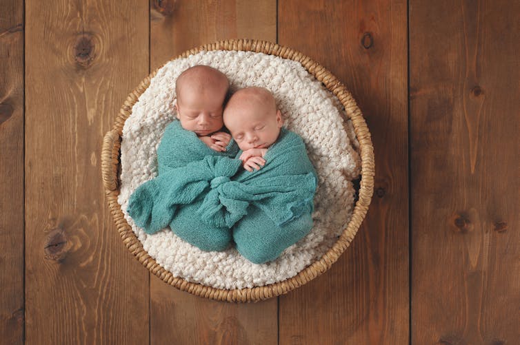 bébés jumeaux dans un panier