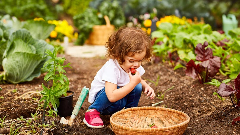 10 Sorties A Faire Avec Bebe Pendant L Ete Parents Fr 10 Sorties A Faire Avec Bebe Pendant L Ete Parents Fr