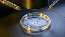 Des chercheurs parviennent à modifier l'ADN d'embryons humains