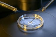 Des chercheurs parviennent à modifier l'ADN d'embryons humains