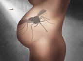 Femme enceinte : bientôt une solution contre le virus Zika