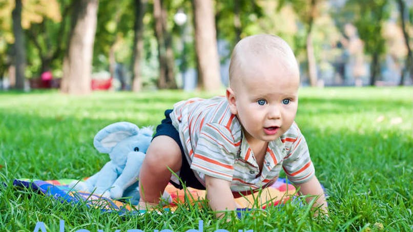 un bébé à quatre pattes dans l'herbe