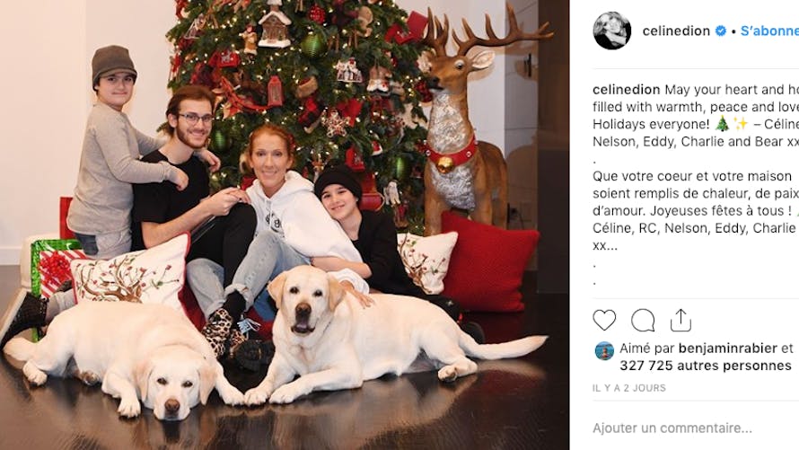 Céline Dion, ses trois fils, ses deux chiens, la joie d'être ensemble