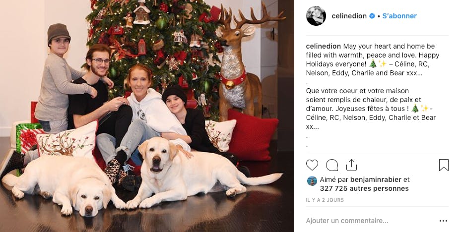 Céline Dion, ses trois fils, ses deux chiens, la joie d'être ensemble