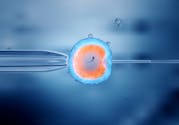 FIV : embryons congelés ou frais, les mêmes chances de succès