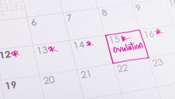 Ovulation : calcul, durée, calendrier… tout ce qu’il faut savoir