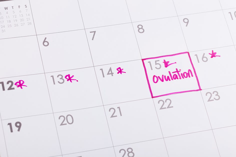 innovación limpiar Agente Calcul d'ovulation : bien calculer la période d'ovulation | PARENTS.fr