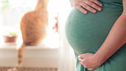 Se protéger de la toxoplasmose quand on est enceinte