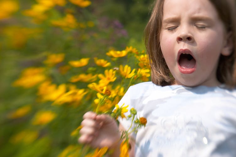 petite fille éternuant en respirant des fleurs des champs