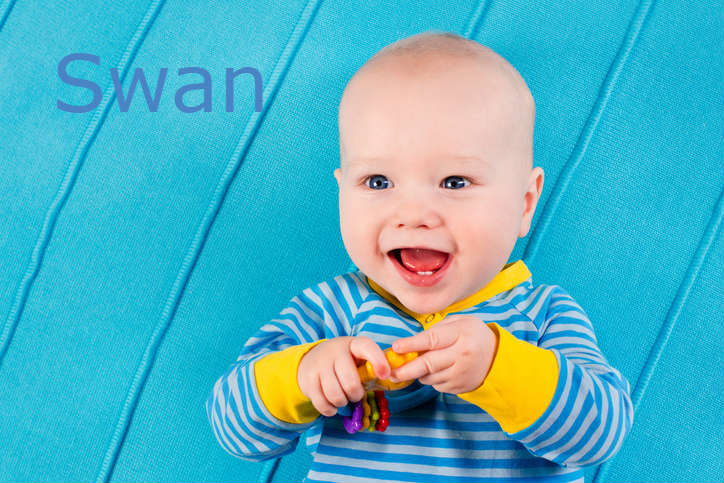 Zoom Sur Les Prenoms Des Youtubeurs Francais Parents Fr