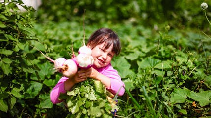 Navet, pourquoi ce légume est bon pour les enfants?