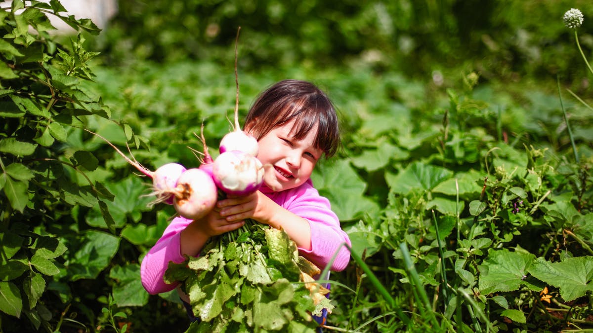 Le Navet Un Legume Riche En Vitamine C Parents Fr Le Navet Un Legume Riche En Vitamine C Parents Fr