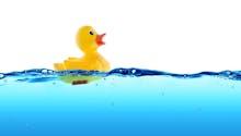 Les canards en plastique dans le bain : un vrai repaire de microbes