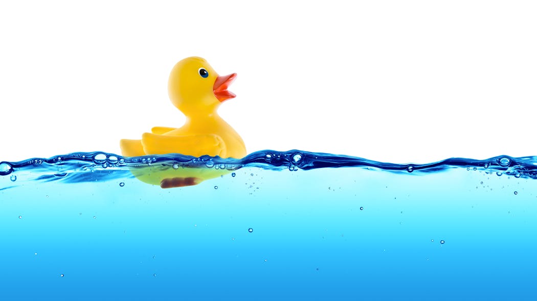 istock_canard_de_bain.jpg istock_canard_de_bain.jpg