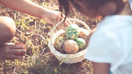 Bretagne : un enfant trouve une arme lors de la chasse aux œufs de Pâques