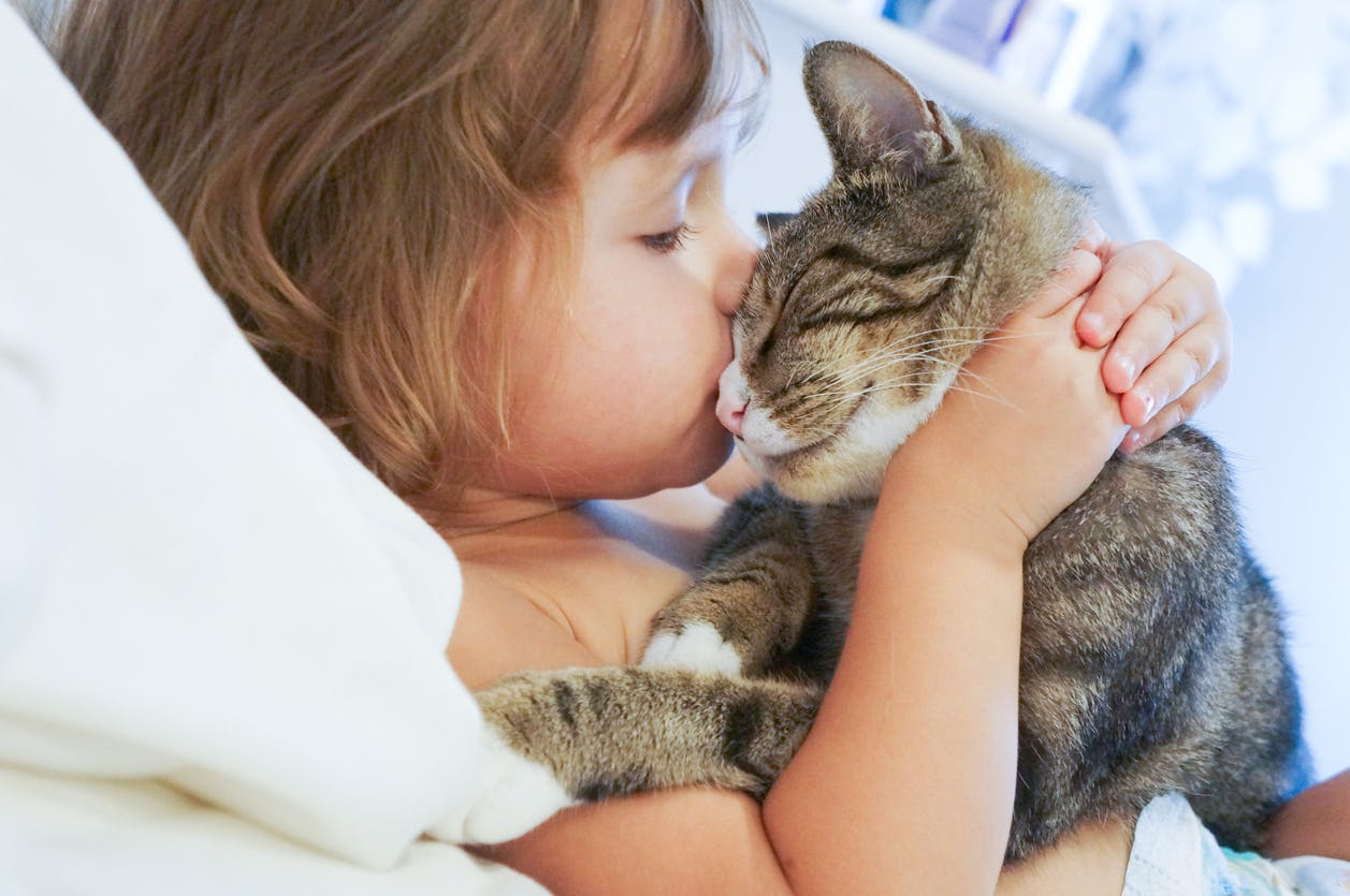 Les Anti Puces Dangereux Pour Les Enfants Parents Fr