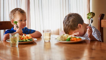 Canada : un enfant appelle la police pour se plaindre de son repas